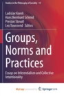 Image for Groups, Norms and Practices
