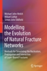 Image for Modelling the Evolution of Natural Fracture Networks : Methods for Simulating the Nucleation, Propagation and Interaction of Layer-Bound Fractures