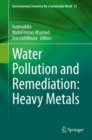 Image for Water Pollution and Remediation: Heavy Metals