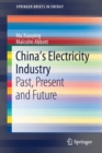 Image for China’s Electricity Industry : Past, Present and Future