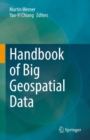 Image for Handbook of Big Geospatial Data