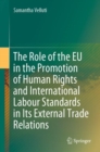 Image for The Role of the EU in the Promotion of Human Rights and International Labour Standards in Its External Trade Relations