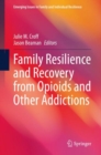Image for Family Resilience and Recovery from Opioids and Other Addictions