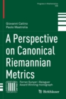 Image for A Perspective on Canonical Riemannian Metrics