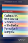 Image for Cockroaches from Jurassic Sediments of the Bakhar Formation in Mongolia