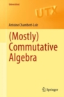 Image for (Mostly) Commutative Algebra