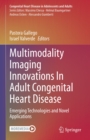 Image for Multimodality Imaging Innovations In Adult Congenital Heart Disease: Emerging Technologies and Novel Applications