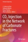 Image for CO2 Injection in the Network of Carbonate Fractures