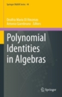 Image for Polynomial Identities in Algebras