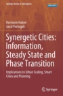 Image for Synergetic cities - information, steady state and phase transition  : implications to urban scaling, smart cities and planning
