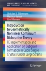 Image for Introduction to Geometrically Nonlinear Continuum Dislocation Theory: FE Implementation and Application on Subgrain Formation in Cubic Single Crystals Under Large Strains