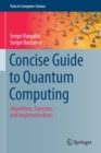 Image for Concise guide to quantum computing  : algorithms, exercises, and implementations
