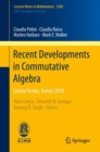 Image for Recent Developments in Commutative Algebra: Levico Terme, Trento 2019