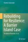 Image for Rebuilding for Resilience: A Barrier Island Case