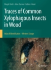 Image for Traces of Common Xylophagous Insects in Wood