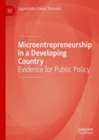 Image for Microentrepreneurship in a developing country: evidence for public policy