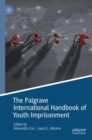 Image for The Palgrave International Handbook of Youth Imprisonment