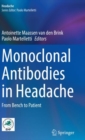 Image for Monoclonal antibodies in headache  : from bench to patient