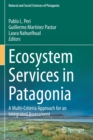Image for Ecosystem services in Patagonia  : a multi-criteria approach for an integrated assessment