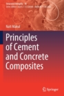 Image for Principles of cement and concrete composites
