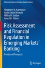 Image for Risk assessment and financial regulation in emerging markets&#39; banking  : trends and prospects