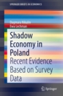 Image for Shadow Economy in Poland : Recent Evidence Based on Survey Data