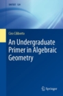 Image for Undergraduate Primer in Algebraic Geometry : 129