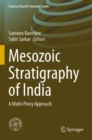 Image for Mesozoic Stratigraphy of India