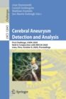 Image for Cerebral Aneurysm Detection and Analysis
