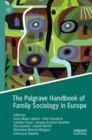 Image for The Palgrave Handbook of Family Sociology in Europe