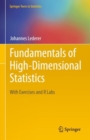 Image for Fundamentals of High-Dimensional Statistics : With Exercises and R Labs