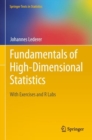 Image for Fundamentals of High-Dimensional Statistics