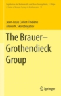 Image for The Brauer–Grothendieck Group