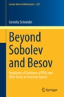 Image for Beyond Sobolev and Besov