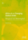 Image for Africa in a Changing Global Order