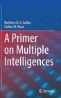 Image for A Primer on Multiple Intelligences