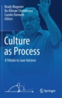 Image for Culture as Process : A Tribute to Jaan Valsiner