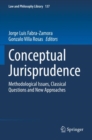 Image for Conceptual jurisprudence  : methodological issues, classical questions and new approaches