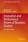 Image for Innovation and Performance Drivers of Business Clusters: An Empirical Study