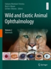 Image for Wild and Exotic Animal Ophthalmology: Volume 2: Mammals : Volume 2,