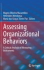 Image for Assessing organizational behaviors  : a critical analysis of measuring instruments