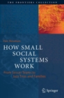 Image for How small social systems work  : from soccer teams to jazz trios and families