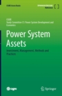 Image for Power system assets  : investment, management, methods and practices