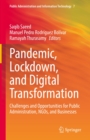 Image for Pandemic, Lockdown, and Digital Transformation: Challenges and Opportunities for Public Administration, NGOs, and Businesses : 7