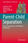 Image for Parent-Child Separation: Causes, Consequences, and Pathways to Resilience