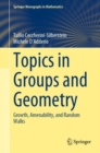 Image for Topics in Groups and Geometry: Growth, Amenability, and Random Walks