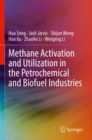 Image for Methane Activation and Utilization in the Petrochemical and Biofuel Industries
