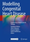 Image for Modelling congenital heart disease  : engineering a patient-specific therapy
