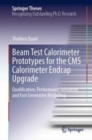 Image for Beam Test Calorimeter Prototypes for the CMS Calorimeter Endcap Upgrade: Qualification, Performance Validation and Fast Generative Modelling