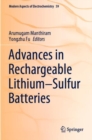 Image for Advances in Rechargeable Lithium–Sulfur Batteries